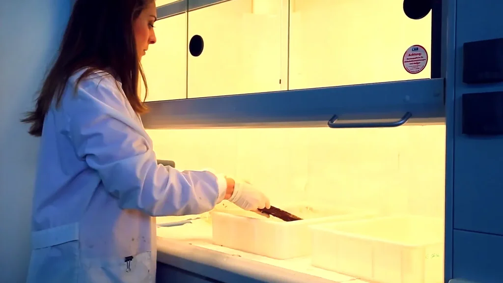 Laboratorio de corrosión - CTC